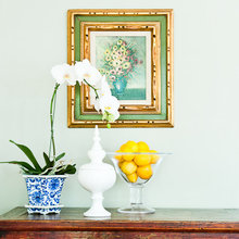 orchid display