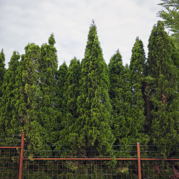 Steel Mesh Fence Screening