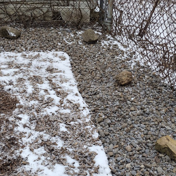 Regina's Dog-Friendly Yard