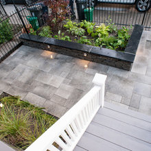 Backyard Reno