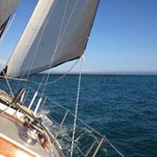 Travis Mallett's photo