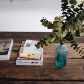 Foto von chicurbliving