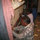 webuser_31703