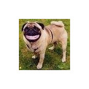 Roni Girts's photo