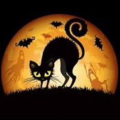 Lisa Saddler's photo