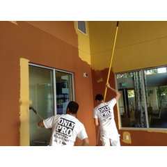 ONLY PRO Painters