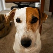 Derek Leach's photo