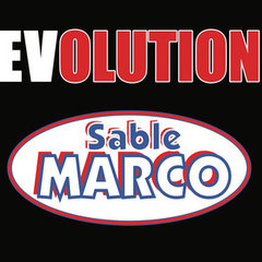 Evolution Polymeric Sand