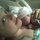 codie_sprinkle