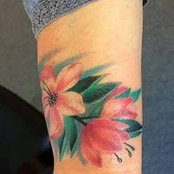 Dawn Kinsey's photo