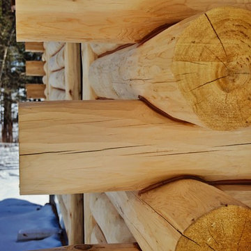 Log Closeup