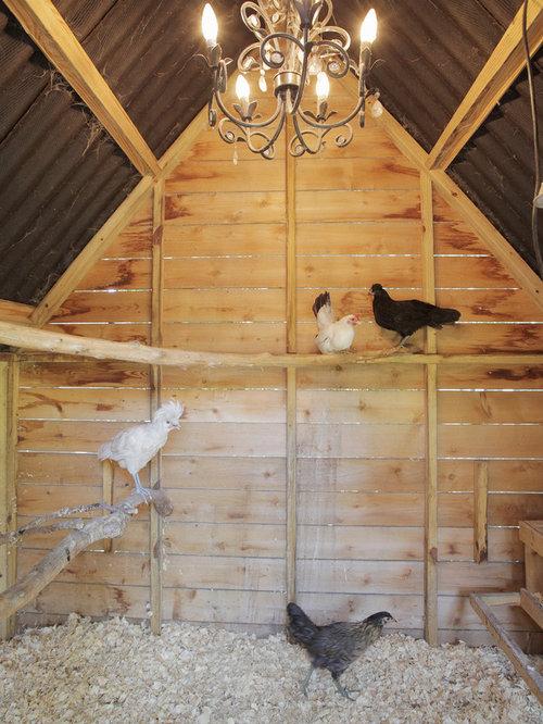 Chicken Roost Ladder | Houzz
