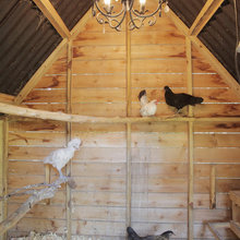 Chickens