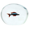 GlassOfVenice Large Murano Glass Aquarium With Fish And Sea Life