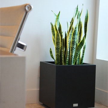 Metallic Series - Galvanized Steel Cube Planter