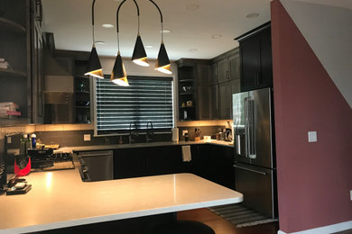 Inspiration for a modern kitchen in DC Metro.