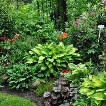 Vibrant Landscape Design