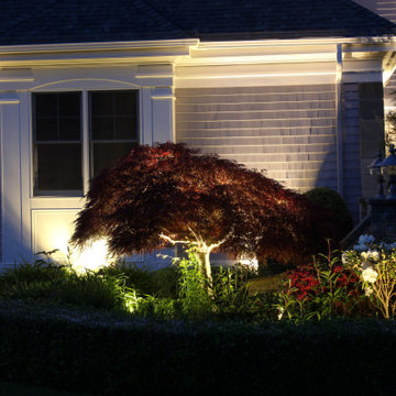 A Festive Lit Home of Color