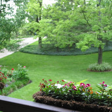 Landscape Ideas