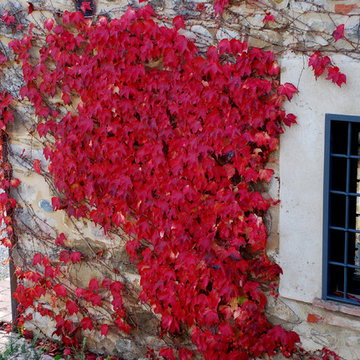 Casale Umbria