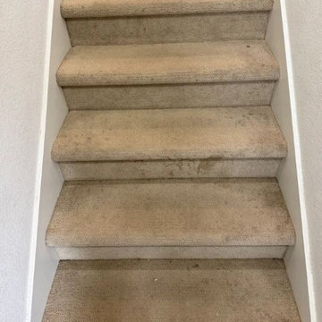 Carpet Cleaning in Aurora, CO