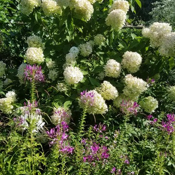 Troy Spiritual Garden