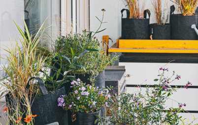 Que planter pour quel style sur un petit balcon en ville ?