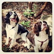 Heather Stickler's photo