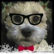 Nan Emmett's photo