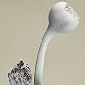 Codrin Dinu Vasiliu's photo
