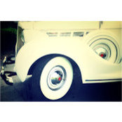 Nick Rippe's photo