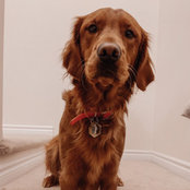 Emily Gadula's photo