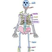 Robert Rosin's photo