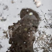 Anina Boshoffs foto