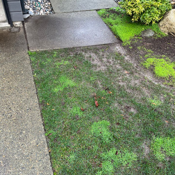 Residential Drain tile Replacement Projects