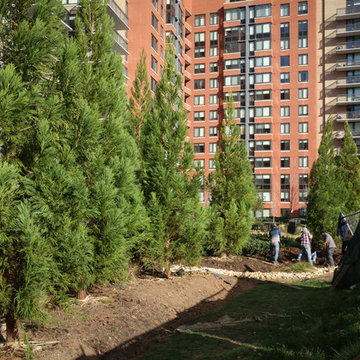 Greening the urban jungle
