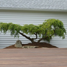 Outside
