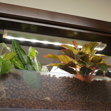 Aquarium Wall Divider in Cranford, New Jersey