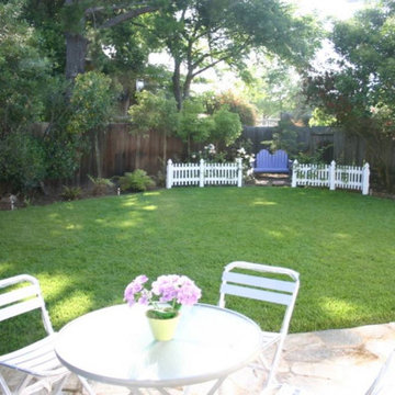 A Hidden Gem in Palo Alto