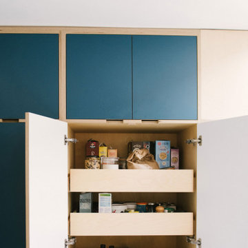 The Wests - Blue Plywood Kitchen