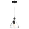 Warehouse of Tiffany Matte Black 1-Light Decanter Seeded Glass Pendant HM022/1