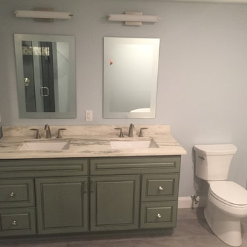 Contemporary Theme Remodel