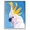 Parrot Mohawk Blue Yellow Animal Bird Painting, 11"x14", Gray Frame