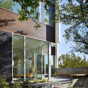 Backyard House