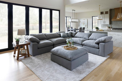 Living room - contemporary living room idea in Denver