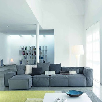 PEANUT Sectional Sofa w/ Voila Coffee Table