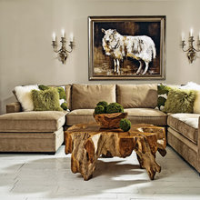 Living Room Ideas