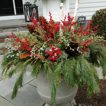 Festive Holiday Displays