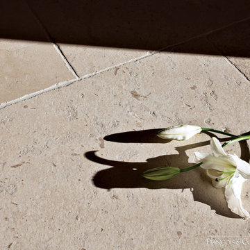 Francois & Co. - French Limestone - Saint Raphael Clair