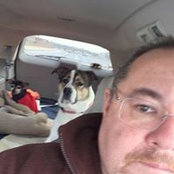 David Vogelsang's photo